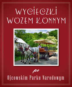 Wycieczki wozem konnym po Ojcowskim Parku Narodowym